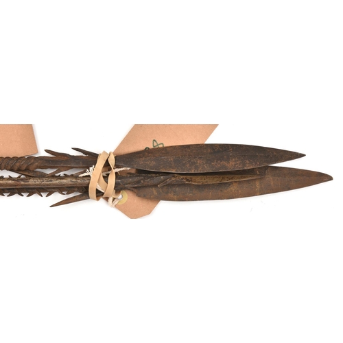 537 - 3 African fishing spears:  (a) blade 7½”, barbed socket, darkwood haft, 50” overall, (b) blade 7”, b... 