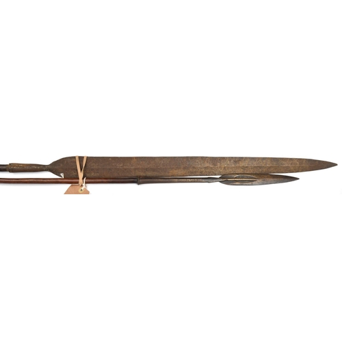 540 - A Masai lion spear, leaf shaped blade 9”, flared socket, slender darkwood haft 67” overall, and anot... 