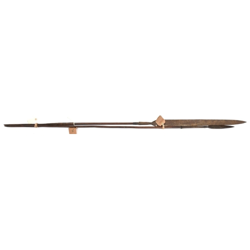 540 - A Masai lion spear, leaf shaped blade 9”, flared socket, slender darkwood haft 67” overall, and anot... 