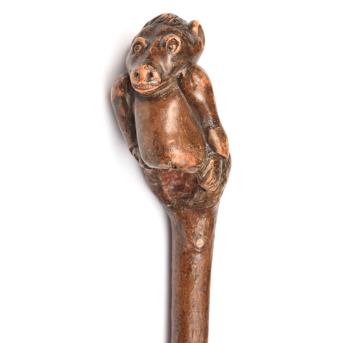 792 - A dark rootwood walking cane,  the head carved as torso of an ape with sleeved arms and hands of hum... 