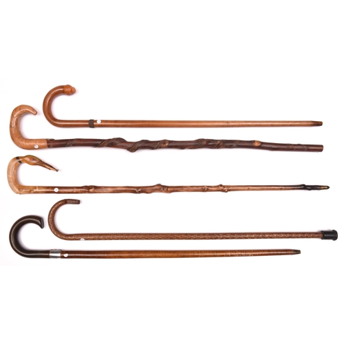 256 - 5 walking sticks: pale wood with crook handle terminating in composition lion's head with glass eyes... 