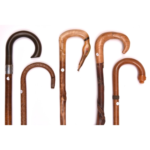 256 - 5 walking sticks: pale wood with crook handle terminating in composition lion's head with glass eyes... 