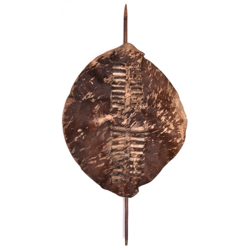 437 - A rare Swazi cowhide fighting shield of Zulu War period, brown in colour, 28