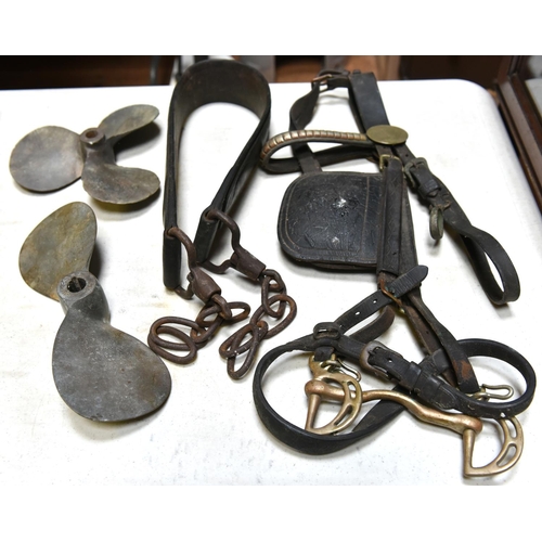 16 - 20x Horse brasses, bridle, harness, etc. 12 of the brasses are suspended on leather straps with bras... 