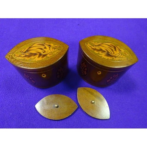 46 - A pair of marquetry tea caddies. Decorative shells to hinged lids and flowers and stringing to front... 