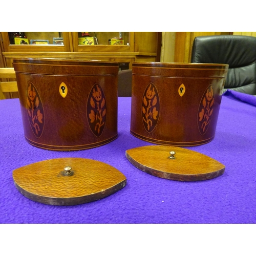 46 - A pair of marquetry tea caddies. Decorative shells to hinged lids and flowers and stringing to front... 