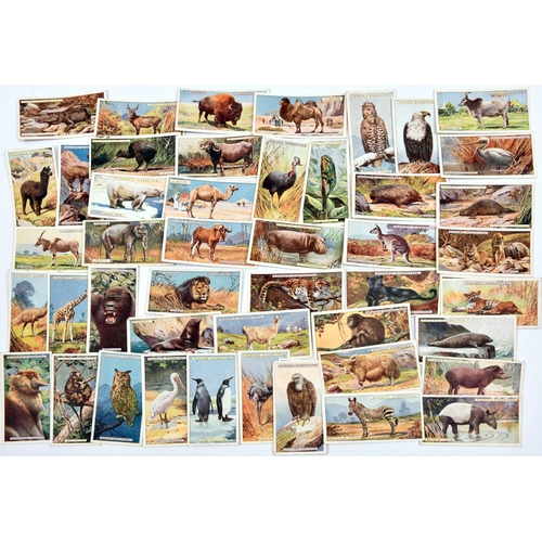 17 - A large quantity of Cigarette Cards, many sorted into runs and manufacturers. 26+ Wills sets and par... 