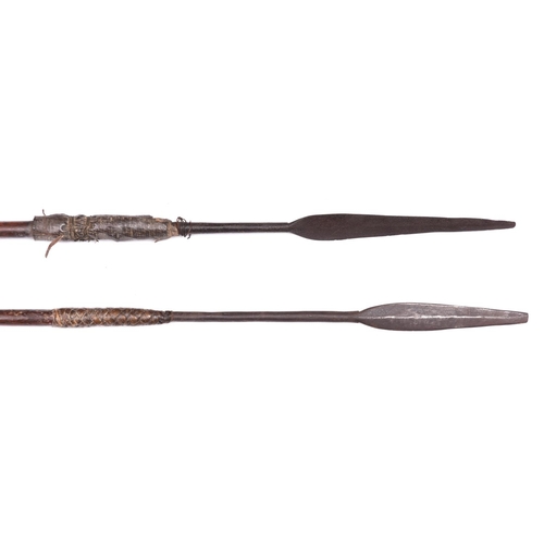 221 - A 19th Century Zulu throwing spear Assegai, 50