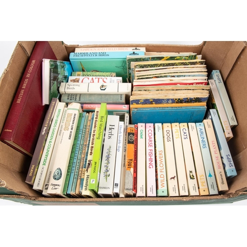 5 - 100+ Observer's Books, Collins Gem Guides, DK Pockets, Ladybird books, I Spy books, etc. Including T... 