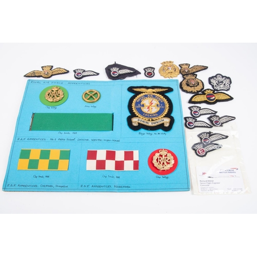 314 - British Airways: bullion cap badge, Stewards badge, pilot wings, crew wings (14). RAF Apprentice Sch... 