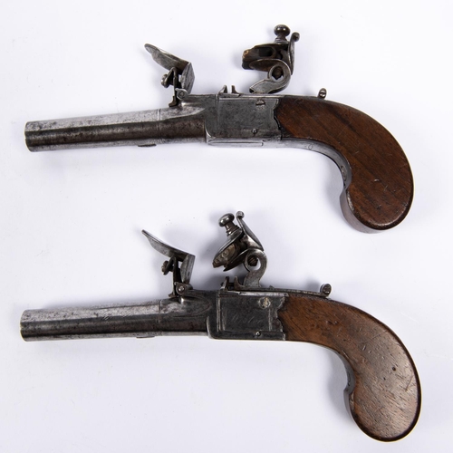 423 - A pair of 55 bore flintlock boxlock pocket pistols by Weston of Lewes, c 1810, 7