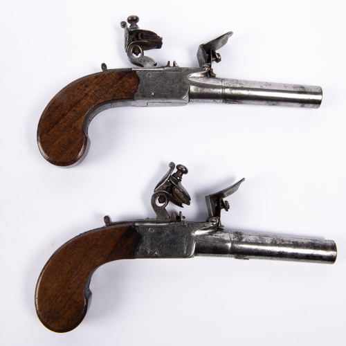 423 - A pair of 55 bore flintlock boxlock pocket pistols by Weston of Lewes, c 1810, 7