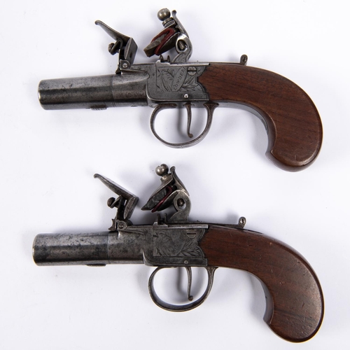 425 - A pair of 42 bore flintlock boxlock pocket pistols by Lowdell of Lewes, c 1825, 6¼