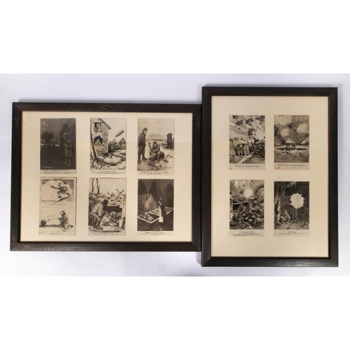 191 - A pair of framed displays 18