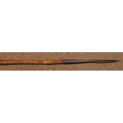 395 - A 19th century bamboo cavalry lance, 108