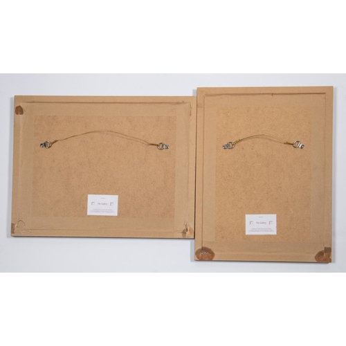 13 - A pair of framed displays 18