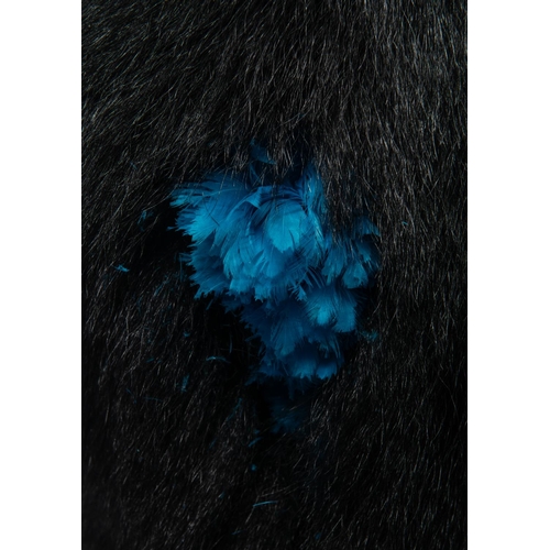 288 - A fine post 1900 officer's black bearskin cap of the Irish Foot Guards, blue cut feather hackle, can... 