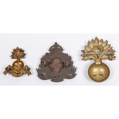 216 - An Indian bi-metal pugaree badge of the 102nd King Edward's Own Grenadiers, with pin fitting; a coll... 