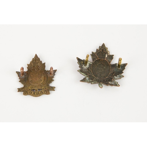 193 - A WWI CEF cap badge of the 9th Stationary Hospital, and a single collar badge of the 8th Stationary ... 