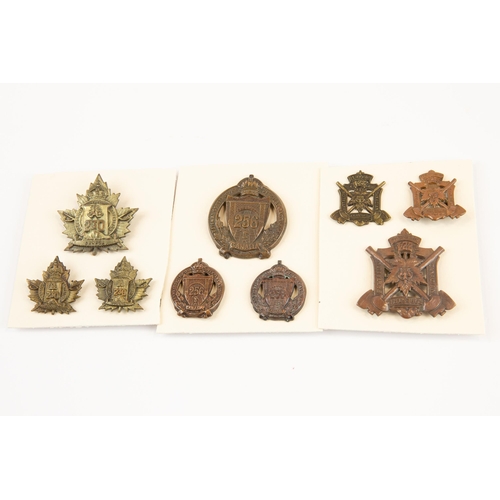 203 - 3 sets of WWI CEF Infantry cap and pair of collar badges: 224th (one collar slightly worn), 230th, a... 