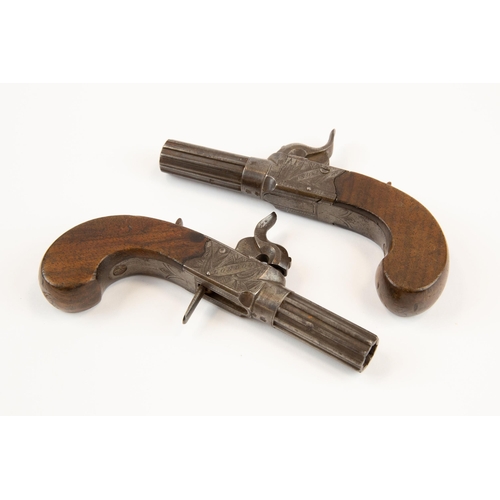 372 - A pair of good quality 55 bore percussion boxlock pocket pistols by H. Nock, London, multi ribbed tu... 