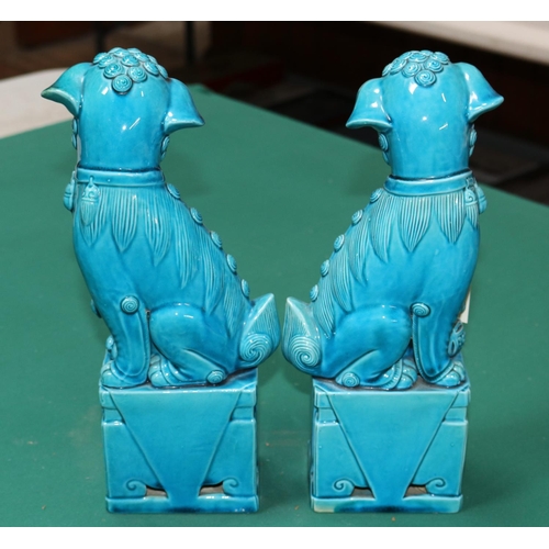 383 - An impressive pair of  large blue glazed Chinese dogs of Foo. male and female, 