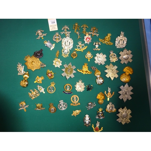 228 - 55 mostly OR's ERII cap badges (no anodised), including Cavalry, Infantry, Yeomanry and Scottish gle... 