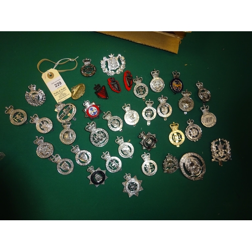 229 - 33 ERII chrome plated British Police cap badges, including enamelled Barnsley Borough; also an ERII ... 