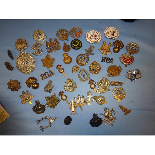 231 - 20 various infantry cap badges (a few worn); 19 other cap badges, including Cambridgeshire Regiment ... 