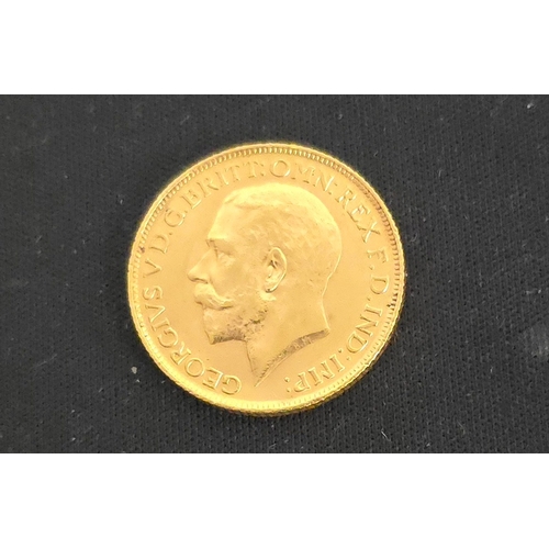 Lot 23        
