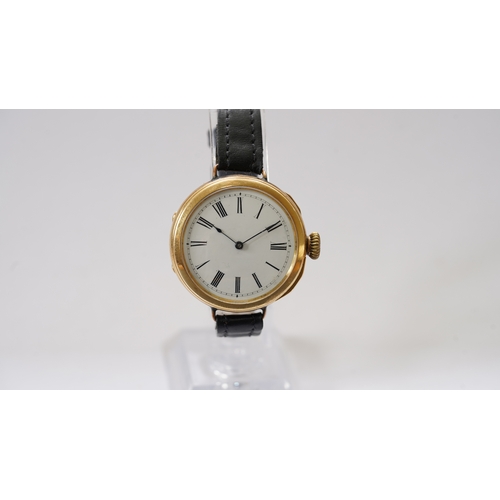 Lot 16        