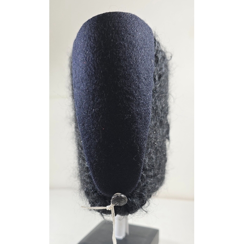 509 - A very scarce Palestine Police astrakhan busby with black crown & bag, black composition unit bu... 