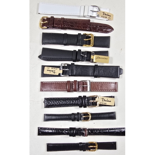 Lot 341       
