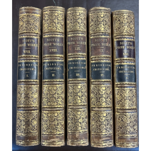 Lot 440       