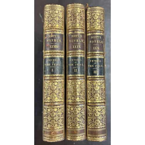 Lot 435       