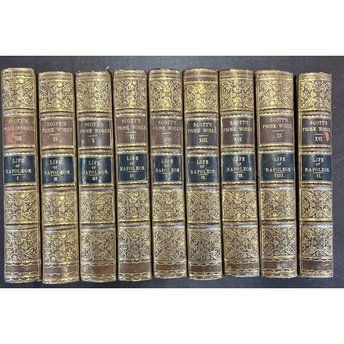 Lot 442       