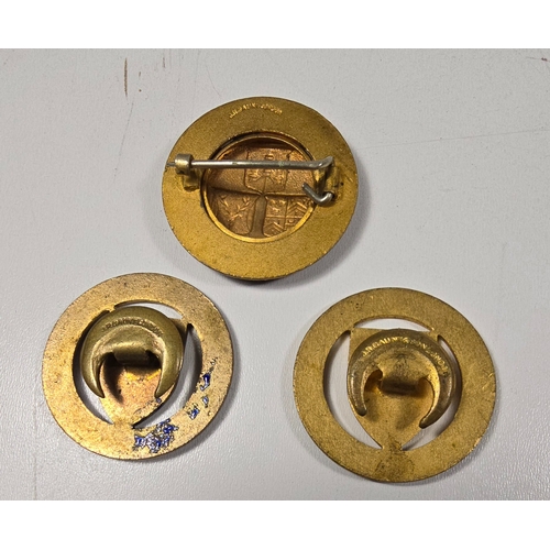 59 - 3 Gilded brass and blue enamel Devon Special Constabulary Mufti badges by Gaunt.