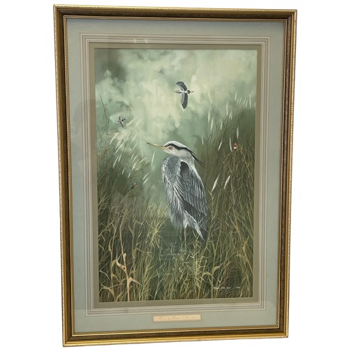 190 - Michael James Yule - Framed Watercolour 'Herons', signed Michael James Yule 1982, with details of th... 