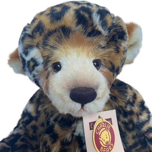 155 - Charlie Bear Surabhi - Limited Edition 2159/4000 CB125151