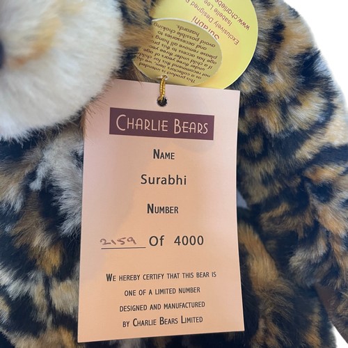 155 - Charlie Bear Surabhi - Limited Edition 2159/4000 CB125151