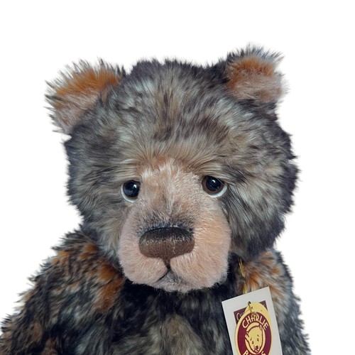 185 - Charlie Bear Hubble - Limited Edition 1357/3000 CB614862