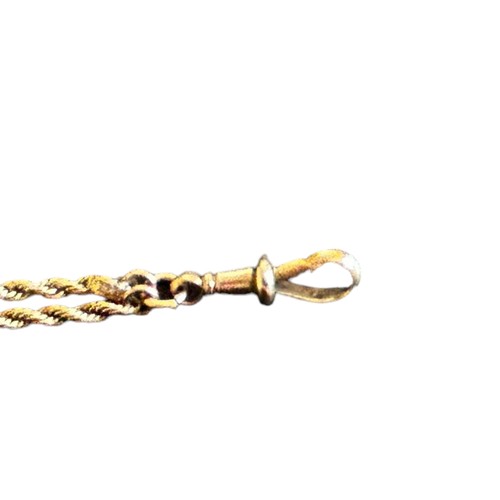 173 - 9ct Gold Necklace in the form of a Rope Chain,
approx 73cm long, 21g