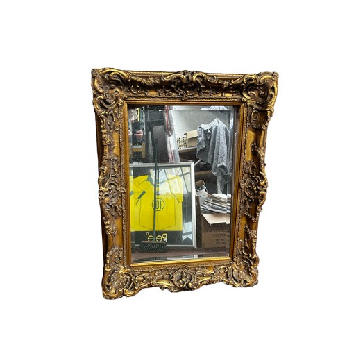 365 - Large Gilt Framed Mirror