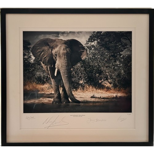 397 - Harmony for elephants collection (3) Limited Edition Print, Large Fine Art Book on elephants & Small... 