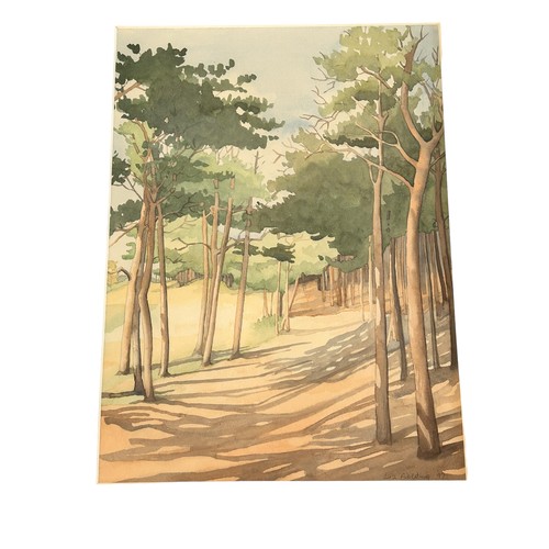 279 - LIZ Fielding - Framed Watercolour of Formby Pine woods, signed & dated 1997