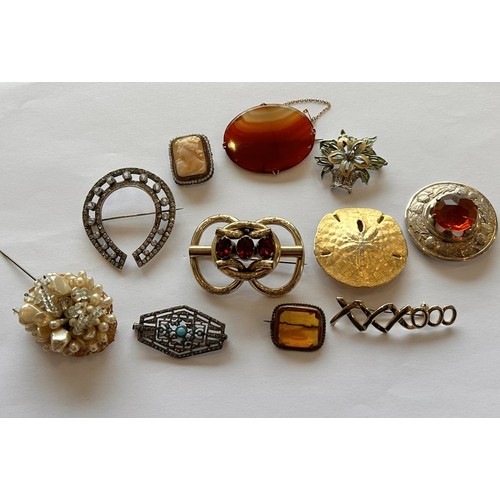 24 - A Collection of 11 Brooches, inc one in Yellow metal 15.5g gross) (11)