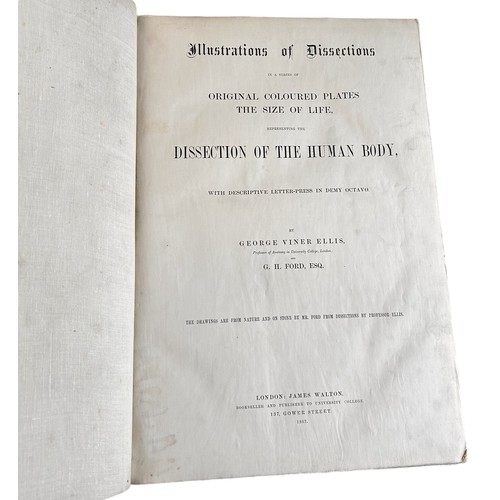 137 - Ellis, George Viner, Illustrations Of Dissections, 1867.  

Illustrations Of Dissections, In A Serie... 