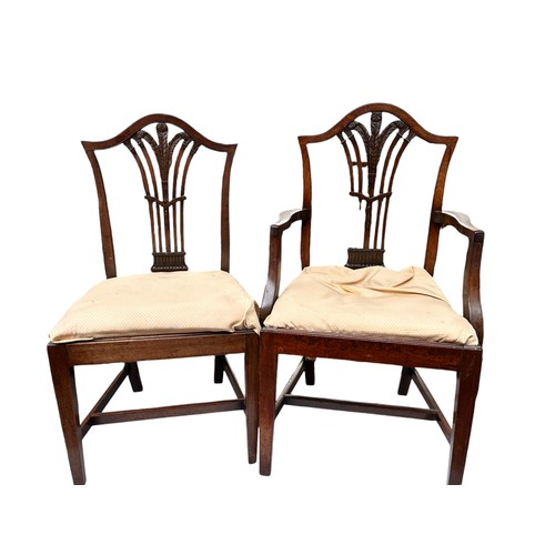 256 - A Part Set of Dining Chairs (4) 3 chairs & 1 carver 
Mahogany with feather detail