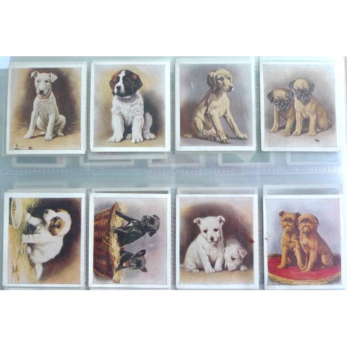 183 - Cigarette cards. Phillips. Our Puppies. (68 x 53mm, 1936); Film Favourites. (Small, 1934); Coronatio... 