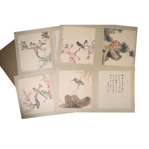 84 - AN ALBUM OF CHINESE ORNITHOLOGICAL STUDIES depicting birds perched in blossoming branches and on roc... 